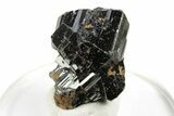 Gemmy Cassiterite Crystal Cluster - Viloco Mine, Bolivia #249644-1